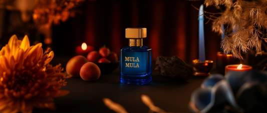 Liste des dupes de parfums Byron (2025)